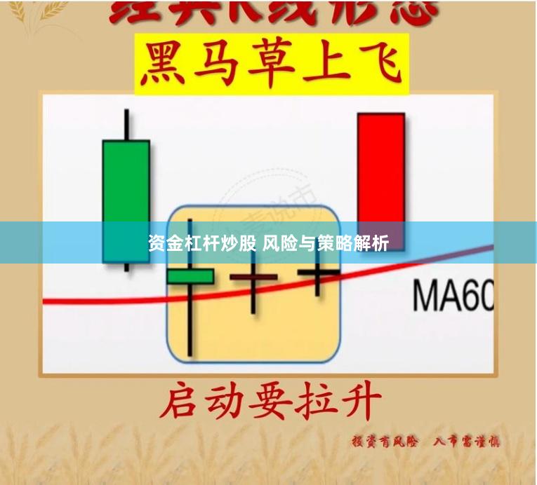资金杠杆炒股 风险与策略解析